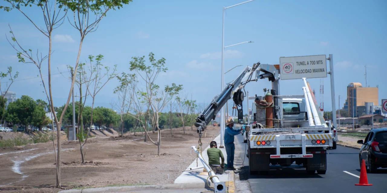 AVANZAN TRABAJOS DE MEJORAMIENTO DE ÁREAS VERDES EN EL EJE FEDERALISMO