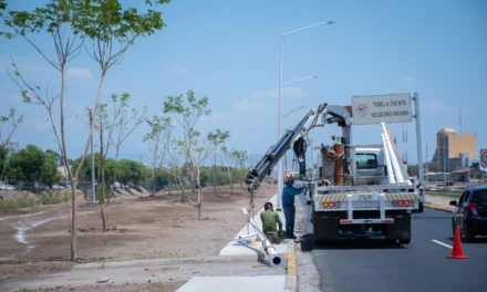 AVANZAN TRABAJOS DE MEJORAMIENTO DE ÁREAS VERDES EN EL EJE FEDERALISMO
