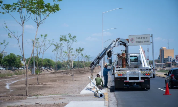 AVANZAN TRABAJOS DE MEJORAMIENTO DE ÁREAS VERDES EN EL EJE FEDERALISMO