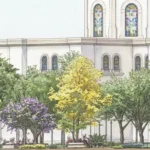 CULIACÁN AVANZA HACIA UN CENTRO HISTÓRICO MÁS VERDE, INCLUSIVO Y CON IDENTIDAD