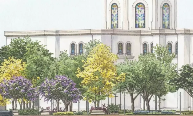 CULIACÁN AVANZA HACIA UN CENTRO HISTÓRICO MÁS VERDE, INCLUSIVO Y CON IDENTIDAD