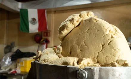 AGRICULTURA Y PROFECO DESCARTAN ALZAS AL PRECIO DE LA TORTILLA Y LLAMAN A NO ATENDER VERSIONES FALSAS SOBRE COSTOS DEL MAÍZ Y LA HARINA