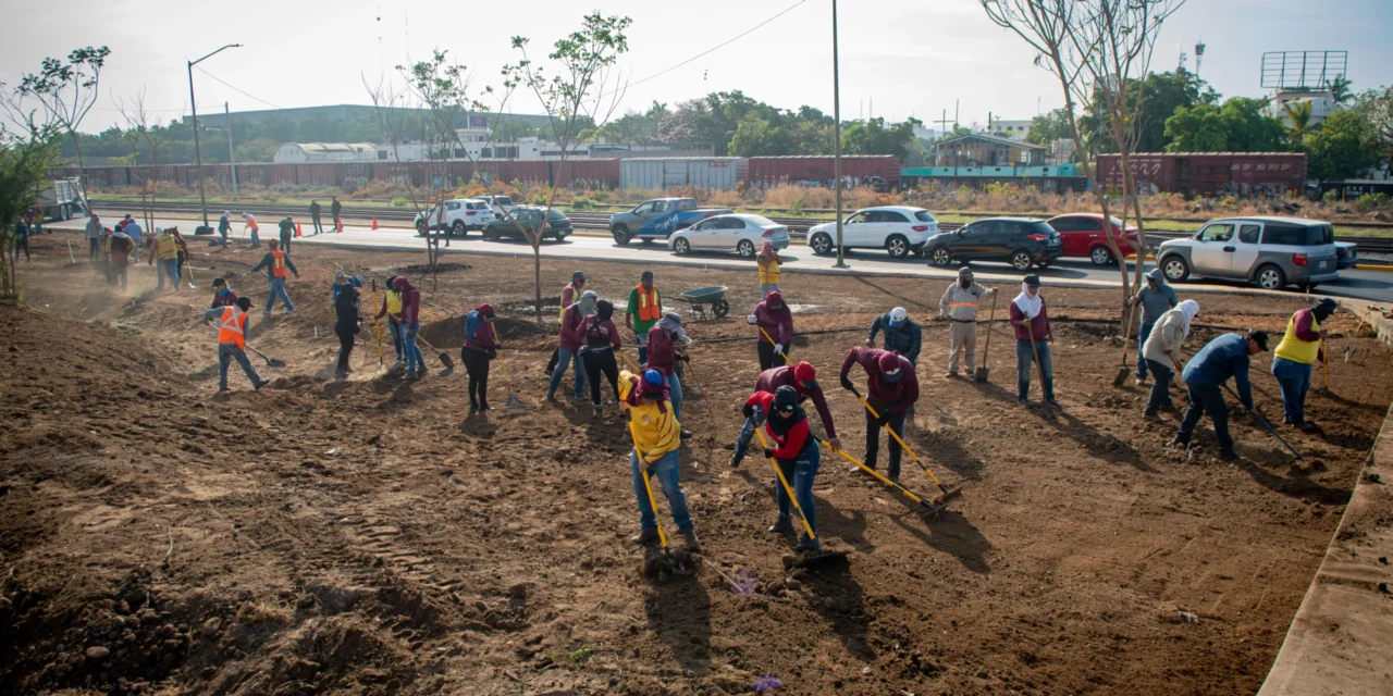 REFUERZA AYUNTAMIENTO DE CULIACÁN RECUPERACIÓN DE ÁREAS VERDES EN EL BULEVAR JOSÉ LIMÓN Y EJE FEDERALISMO