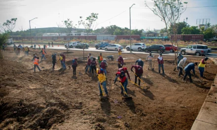 REFUERZA AYUNTAMIENTO DE CULIACÁN RECUPERACIÓN DE ÁREAS VERDES EN EL BULEVAR JOSÉ LIMÓN Y EJE FEDERALISMO