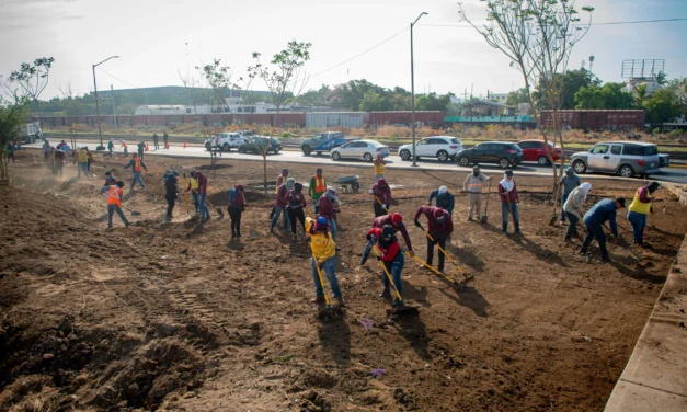REFUERZA AYUNTAMIENTO DE CULIACÁN RECUPERACIÓN DE ÁREAS VERDES EN EL BULEVAR JOSÉ LIMÓN Y EJE FEDERALISMO