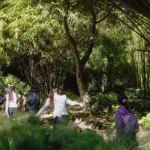 TALLER DE PASCUA EN JARDÍN BOTÁNICO CULIACÁN, LA MEJOR OPCIÓN ESTAS VACACIONES