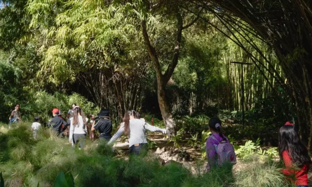 TALLER DE PASCUA EN JARDÍN BOTÁNICO CULIACÁN, LA MEJOR OPCIÓN ESTAS VACACIONES