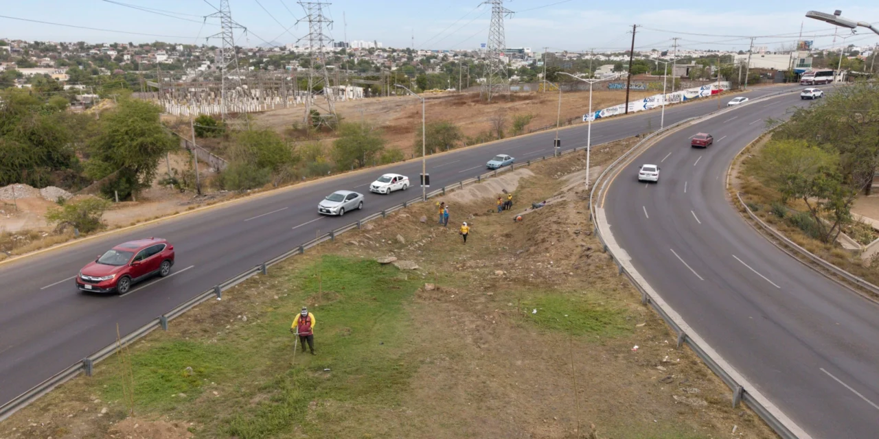 TRANSFORMAN ENTORNO DE LA AVENIDA ÁLVARO OBREGÓN SUR CON TALUD ORNAMENTAL
