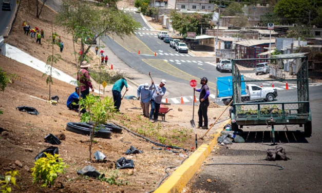 AVANZA JORNADA INTEGRAL DE LIMPIEZA EN PROLONGACIÓN ÁLVARO OBREGÓN