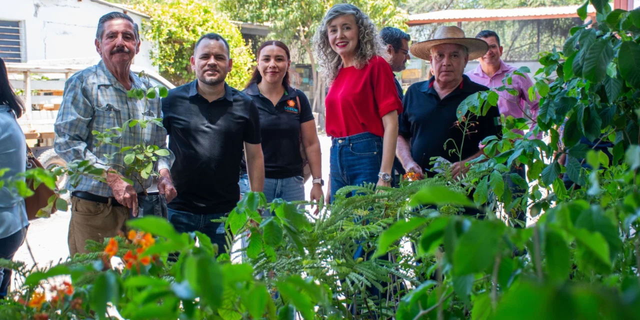 AYUNTAMIENTO DE CULIACÁN IMPULSA ACCIONES PARA LA PRESERVACIÓN DE LAS ABEJAS CON DONACIÓN DE ÁRBOLES
