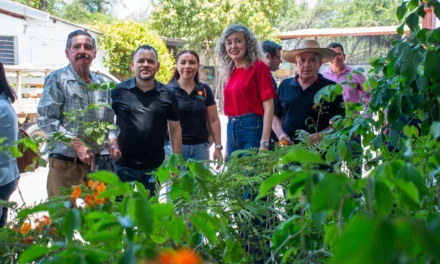 AYUNTAMIENTO DE CULIACÁN IMPULSA ACCIONES PARA LA PRESERVACIÓN DE LAS ABEJAS CON DONACIÓN DE ÁRBOLES