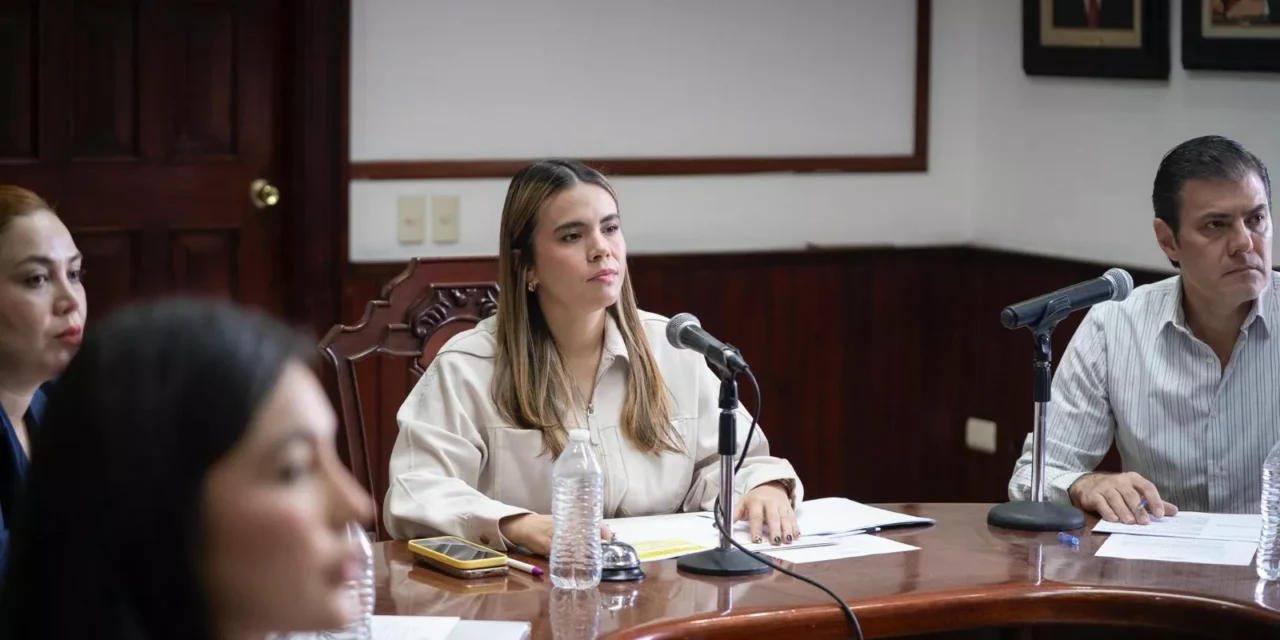 CABILDO APRUEBA RECEPCIÓN DE TERRENOS COMO DONACIÓN PARA ÁREAS VERDES