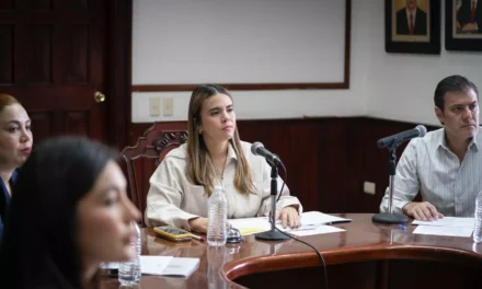 CABILDO APRUEBA RECEPCIÓN DE TERRENOS COMO DONACIÓN PARA ÁREAS VERDES