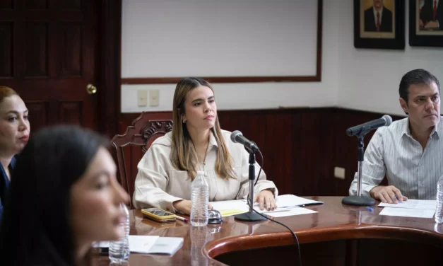 CABILDO APRUEBA RECEPCIÓN DE TERRENOS COMO DONACIÓN PARA ÁREAS VERDES