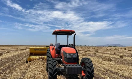 YA OPERAN EN EL DORADO, MOCORITO Y NAVOLATO LOS NUEVOS EQUIPOS PARA LA ELABORACIÓN DE PACAS