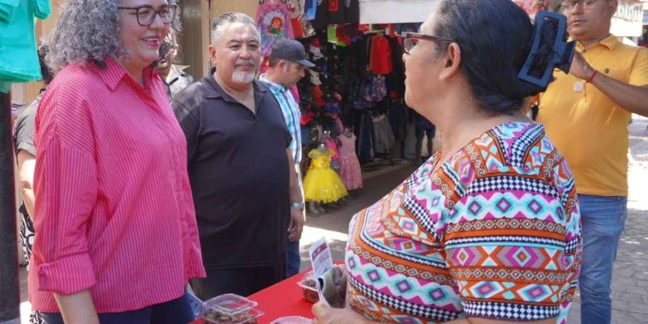 GRACIELA DOMÍNGUEZ ABRE BUZÓN CONTRA ALTOS COBROS DE CFE Y BUSCA AMPLIAR SUBSIDIO A MARZO