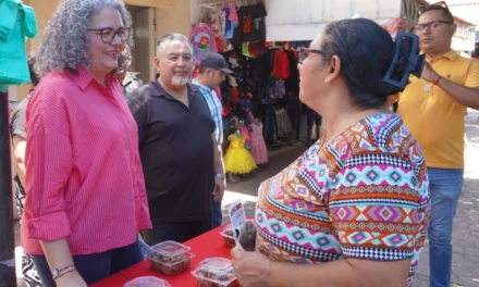 GRACIELA DOMÍNGUEZ ABRE BUZÓN CONTRA ALTOS COBROS DE CFE Y BUSCA AMPLIAR SUBSIDIO A MARZO