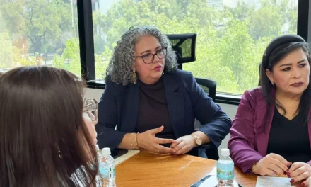GRACIELA DOMÍNGUEZ LLEVA A LA CFE EL RECLAMO DE TARIFAS JUSTAS PARA FAMILIAS DE SINALOA Y DA A CONOCER LOS ACUERDOS