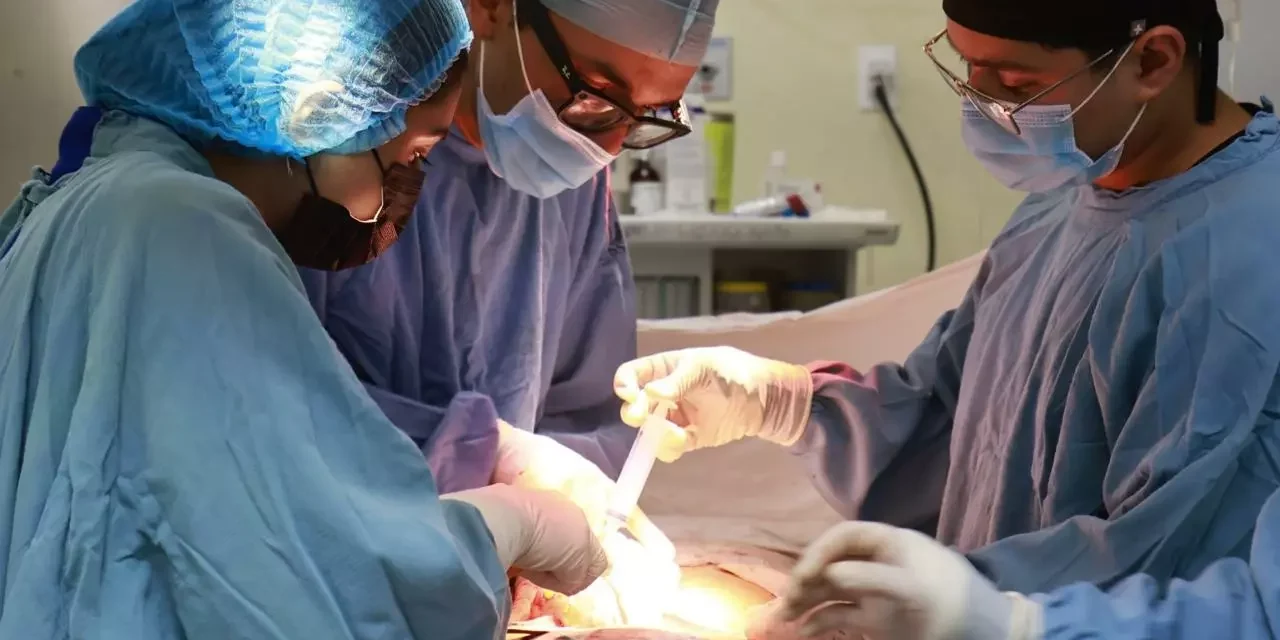 REALIZA IMSS SINALOA EXITOSO DOBLE TRASPLANTE RENAL EN BENEFICIO DE DOS PACIENTES