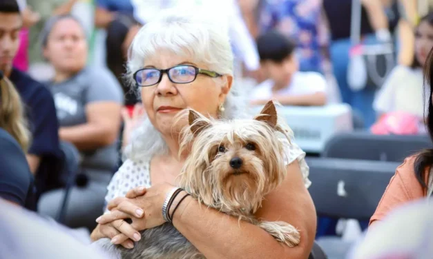 SECRETARÍA DE SALUD LLAMA A REFORZAR MEDIDAS PREVENTIVAS CONTRA LA RICKETTSIOSIS