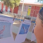 PROMUEVEN EN LA REFORMA EL CUIDADO DE LAS AVES MIGRATORIAS Y LA CONSERVACIÓN DE BAHÍA SANTA MARÍA