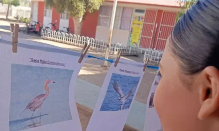 PROMUEVEN EN LA REFORMA EL CUIDADO DE LAS AVES MIGRATORIAS Y LA CONSERVACIÓN DE BAHÍA SANTA MARÍA