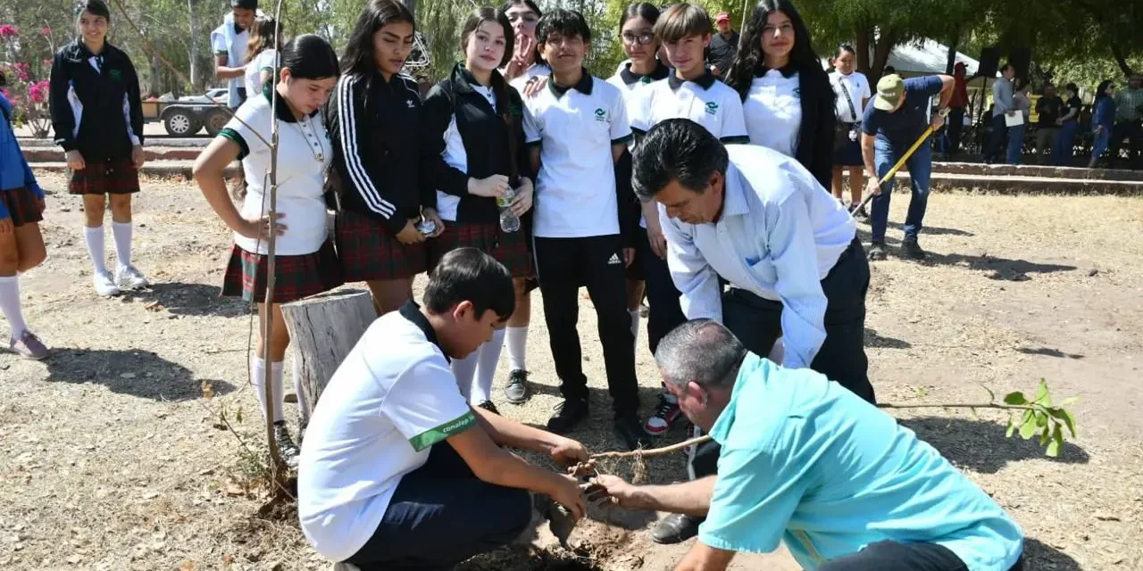 CON PLANTACIÓN DE 200 ÁRBOLES, SEBIDES FORTALECE ÁREAS VERDES EN MOCORITO
