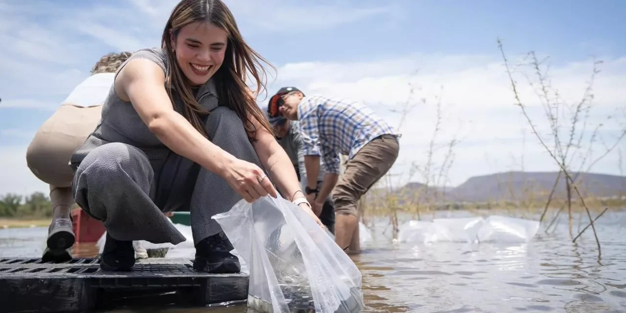 LIBERARÁN 2 MILLONES 300 MIL ALEVINES PARA LA SIEMBRA EN LOS 14 EMBALSES DE AGUA DULCE DEL MUNICIPIO