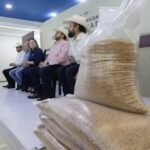 ENTREGA GOBERNADORA YERALDINE SEMILLA DE SORGO A MÁS DE 3 MIL 800 GANADEROS DE SINALOA