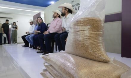 ENTREGA GOBERNADORA YERALDINE SEMILLA DE SORGO A MÁS DE 3 MIL 800 GANADEROS DE SINALOA