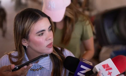 INSTALARÁ CFE EN EL AYUNTAMIENTO MESA DE TRABAJO A USUARIOS PARA ATENDER REPORTES POR SERVICIO ELÉCTRICO
