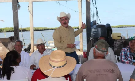 PLANTA DE FERTILIZANTES NO INTERVENDRÁ EN PESCA DE LA BAHÍA OHUIRA, TOPOLOBAMPO