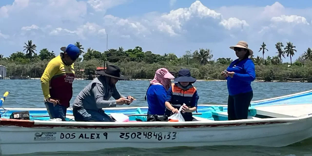 INICIA EN LAS ARENITAS, ELDORADO, LA IMPLEMENTACIÓN DEL PROGRAMA MEXICANO DE SANIDAD DE MOLUSCOS BIVALVOS