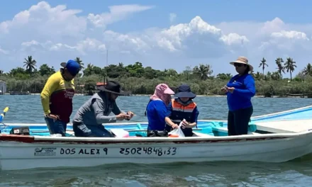 INICIA EN LAS ARENITAS, ELDORADO, LA IMPLEMENTACIÓN DEL PROGRAMA MEXICANO DE SANIDAD DE MOLUSCOS BIVALVOS