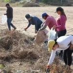 REALIZAN JORNADA ESTATAL DE LIMPIEZA EN PLAYA CEUTA POR EL DÍA MUNDIAL DEL MEDIO AMBIENTE