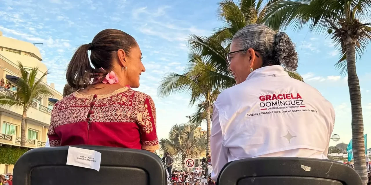 SOLICITA LICENCIA GRACIELA DOMÍNGUEZ COMO DIPUTADA FEDERAL