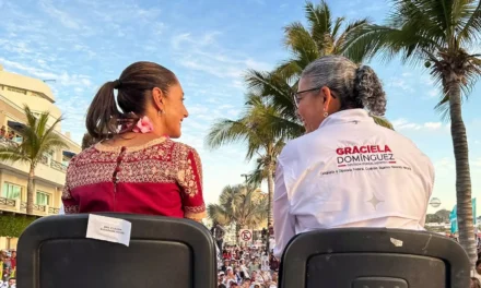 SOLICITA LICENCIA GRACIELA DOMÍNGUEZ COMO DIPUTADA FEDERAL