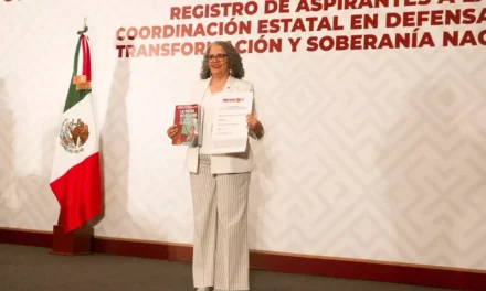 GRACIELA DOMÍNGUEZ ES EL PERFIL DE LA IZQUIERDA PARA LA COORDINACIÓN ESTATAL DE MORENA