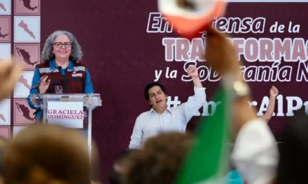 NO HAY ENCUESTAS DE MORENA, POR MÁS QUE SE DIGA, EL PROCESO PARA LA COORDINACIÓN ESTATAL APENAS INICIA, DICE GRACIELA DOMÍNGUEZ