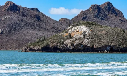 ECOSISTEMAS LIMPIOS Y SEGUROS: SINALOA FORTALECE LA PROTECCIÓN DE SUS ÁREAS NATURALES CON JORNADA AMBIENTAL EN LA ISLA DE LAS CHIVAS