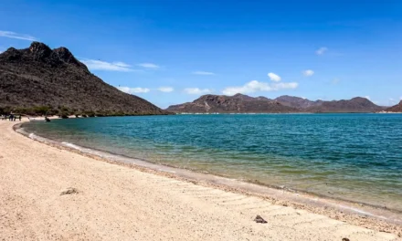 SINALOA CRECE 63% EN RESERVACIONES A TRAVÉS DE PRICETRAVEL Y PROYECTA UN VERANO POSITIVO CON ALZAS DE HASTA 73%