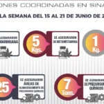 EN LA ÚLTIMA SEMANA EN SINALOA, 56 VEHÍCULOS FUERON RECUPERADOS, 44 PERSONAS DETENIDAS Y 54 ARMAS ASEGURADAS POR EL GRUPO INTERINSTITUCIONAL