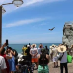 MÁS DE 278 MIL TURISTAS DE CRUCEROS VISITARON MAZATLÁN EN EL PRIMER SEMESTRE DE 2026