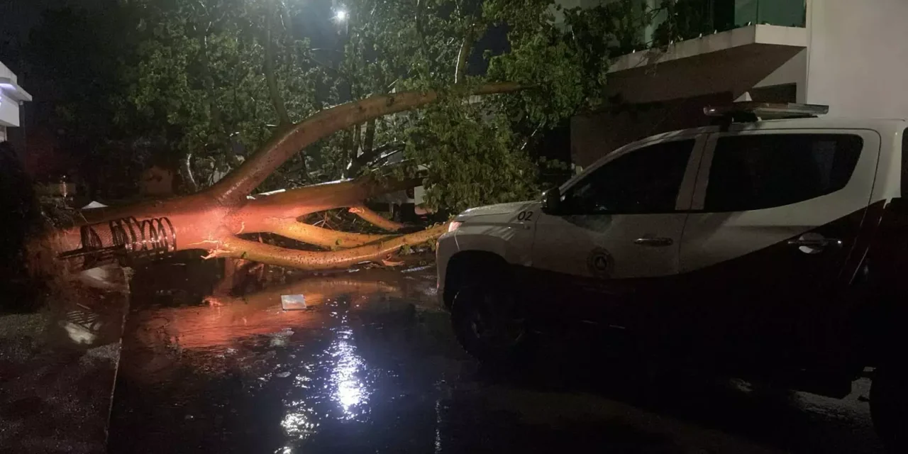 ACTIVA AYUNTAMIENTO OPERATIVO POR LLUVIAS; ATIENDE CAÍDA DE ÁRBOLES Y MANTIENE MONITOREO DE CANALES