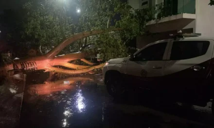 ACTIVA AYUNTAMIENTO OPERATIVO POR LLUVIAS; ATIENDE CAÍDA DE ÁRBOLES Y MANTIENE MONITOREO DE CANALES