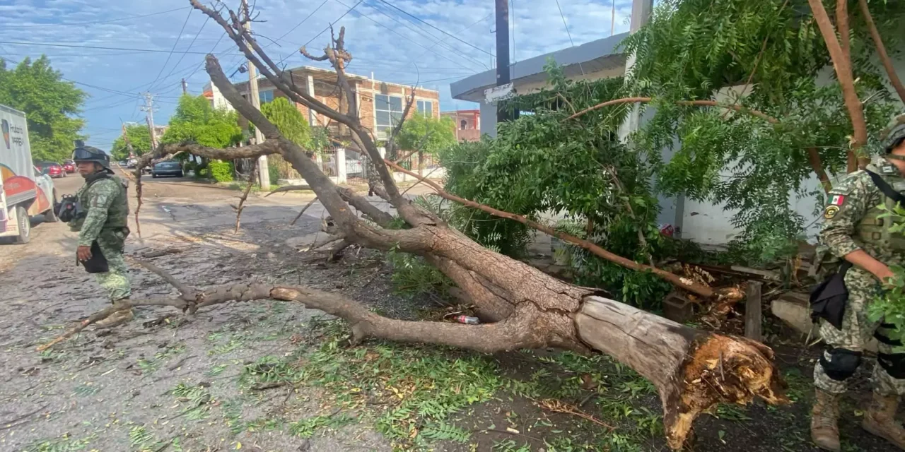 ATIENDE AYUNTAMIENTO DE CULIACÁN AFECTACIONES POR LLUVIAS Y FUERTES VIENTOS CON OPERATIVO PERMANENTE