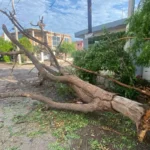 ATIENDE AYUNTAMIENTO DE CULIACÁN AFECTACIONES POR LLUVIAS Y FUERTES VIENTOS CON OPERATIVO PERMANENTE