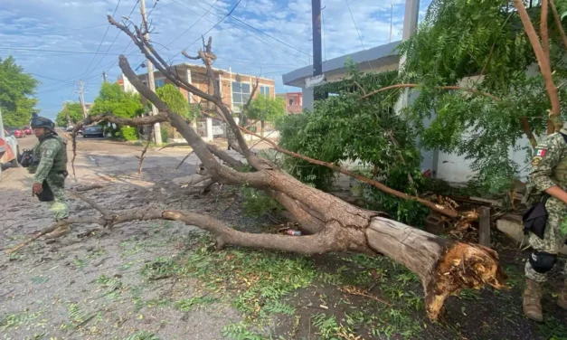 ATIENDE AYUNTAMIENTO DE CULIACÁN AFECTACIONES POR LLUVIAS Y FUERTES VIENTOS CON OPERATIVO PERMANENTE