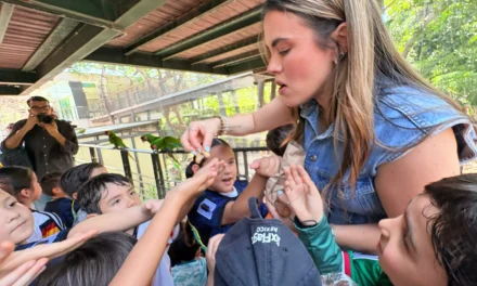 DISFRUTAN VISITA AL ZOOLÓGICO NIÑAS, NIÑOS Y JÓVENES DE LOS CURSOS DE VERANO IMDEC 2026
