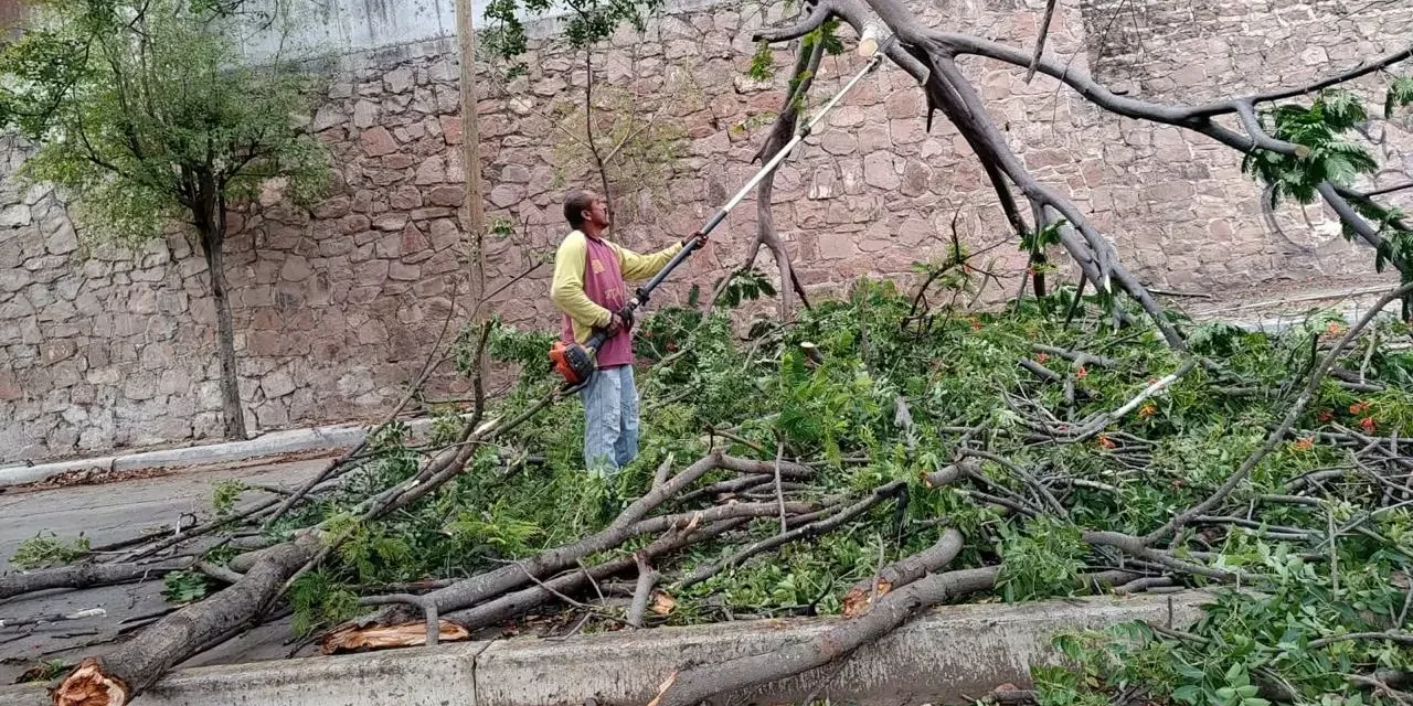 RACHAS DE VIENTO GENERAN AFECTACIONES EN LA CIUDAD; PROTECCIÓN CIVIL ATIENDE 10 EMERGENCIAS
